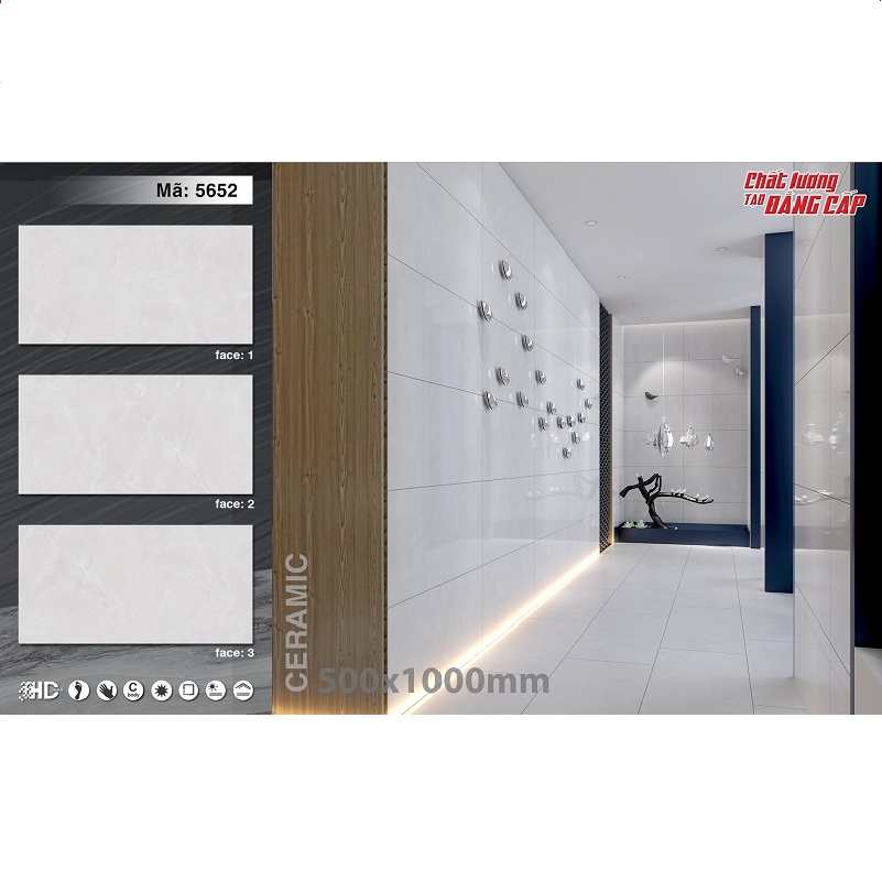 Gạch ốp lát 50×100 cm Tasas màu ghi 5262