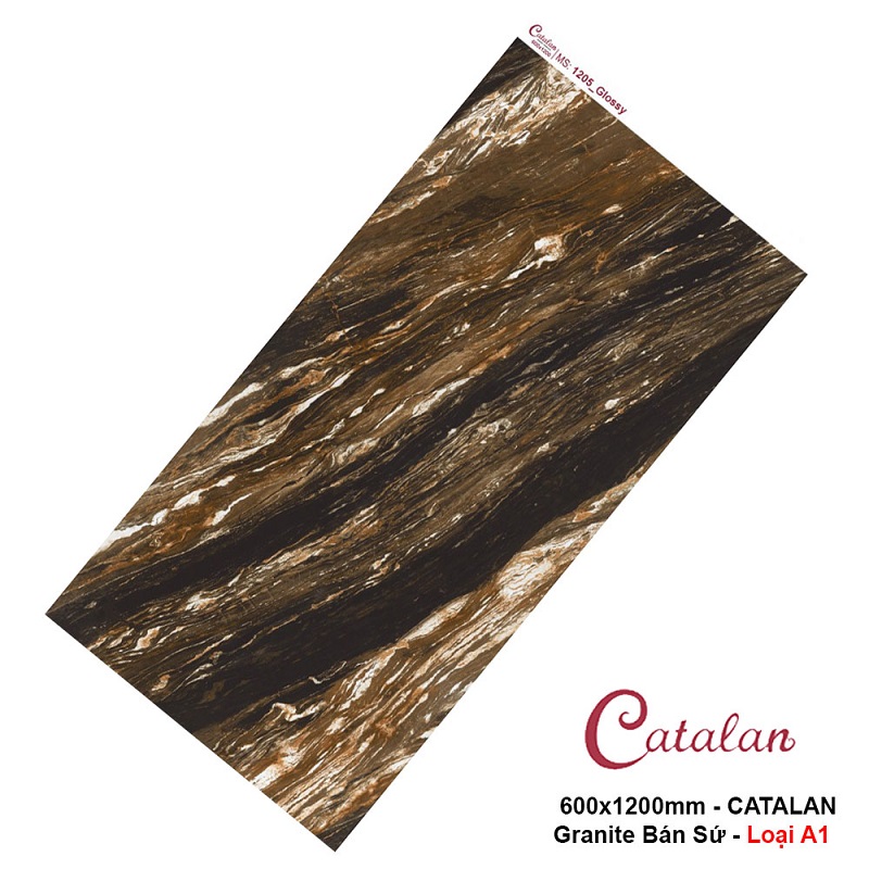 Gạch ốp lát 60×120 Catalan 1205