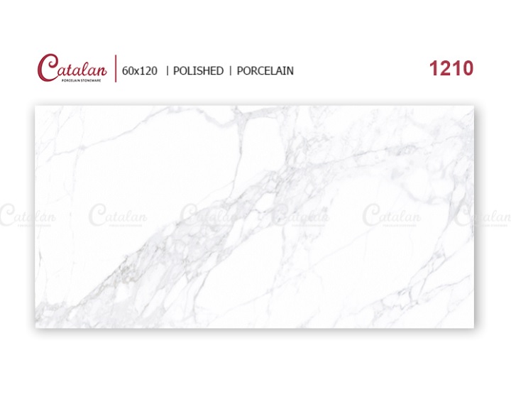Gạch ốp lát 60×120 Catalan 1210