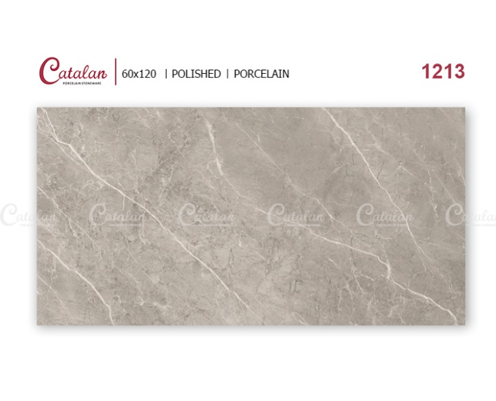 Gạch ốp lát 60×120 Catalan 1213