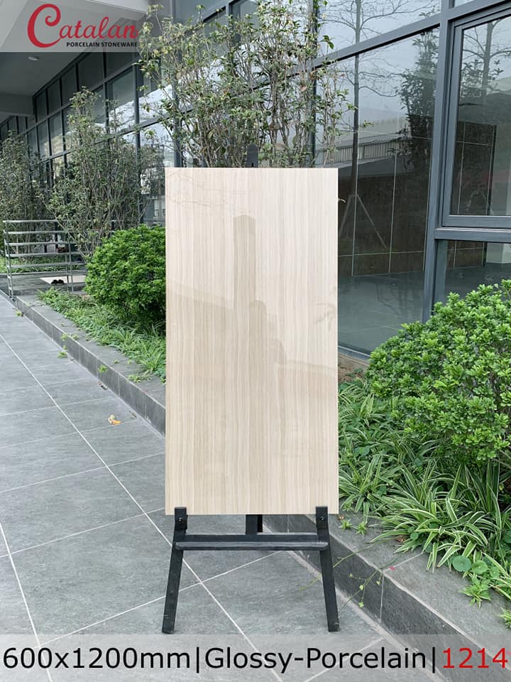 Gạch ốp lát 60×120 Catalan 1214
