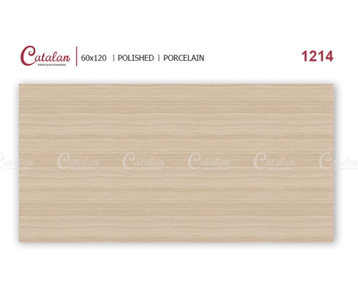 Gạch ốp lát 60×120 Catalan 1214
