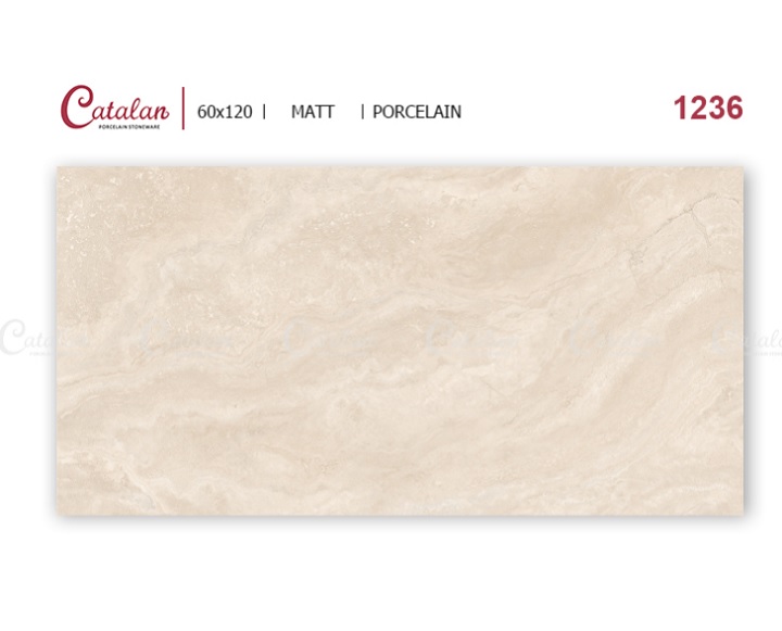 Gạch ốp lát 60×120 Catalan 1236