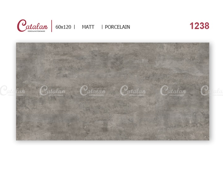 Gạch ốp lát 60×120 Catalan 1238