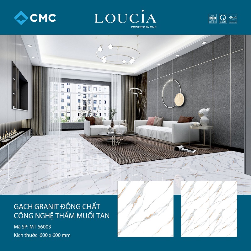 Gạch ốp lát 60x60cm vân đá vàng MT66006