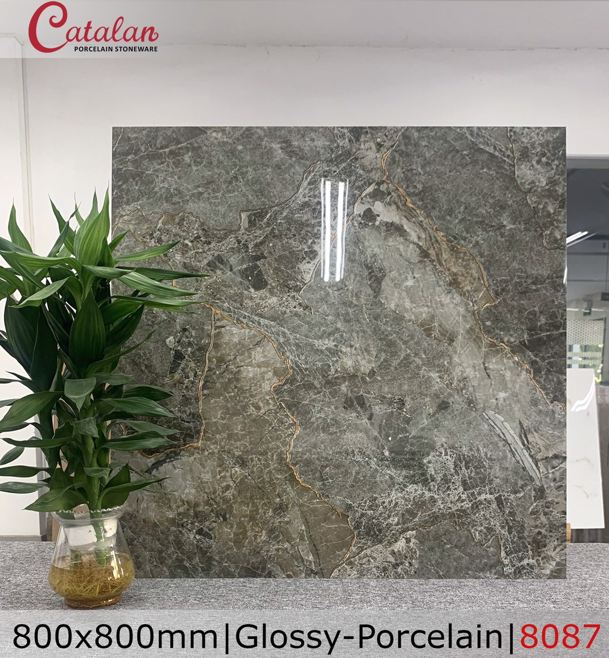 Gạch ốp lát  Catalan  vân đá ghi 8087