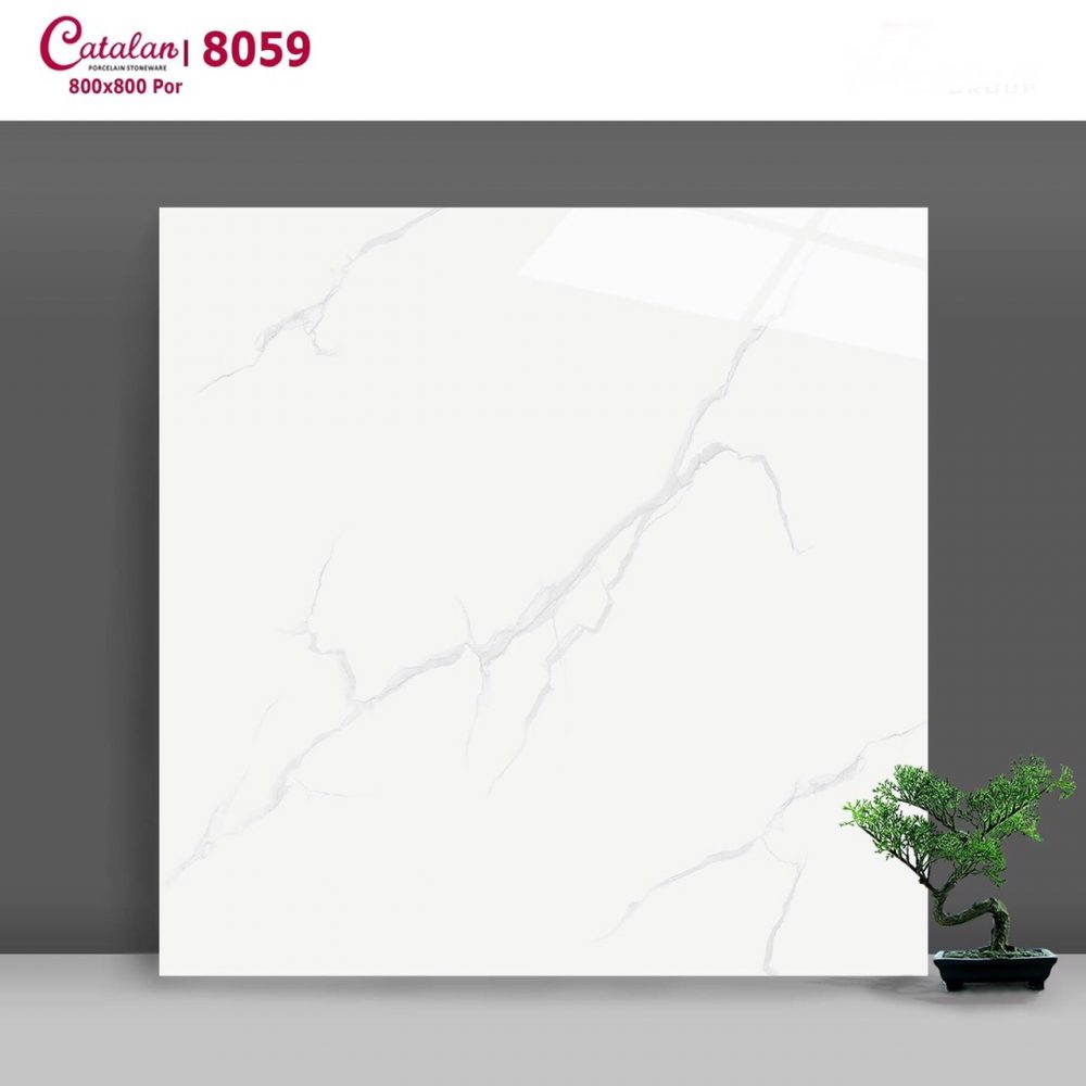 Gạch ốp lát  Catalan  vân khói 8059