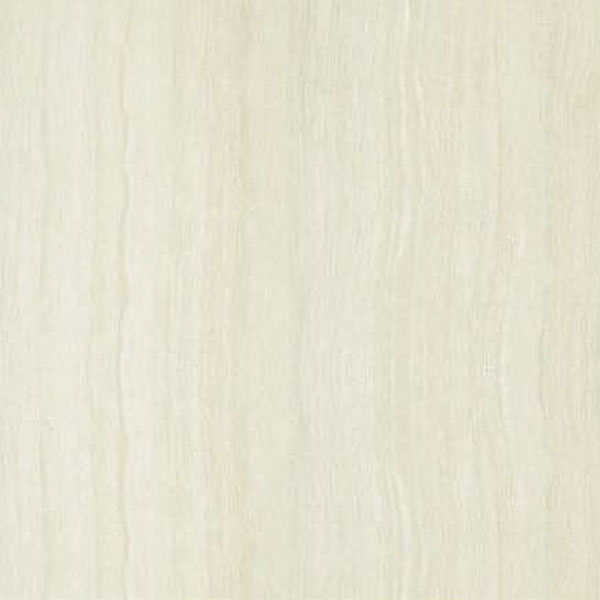 Gạch ốp lát Taicera TKG 100×100 P10202N