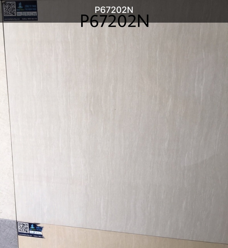 Gạch ốp lát Taicera TKG 60×60 P67202N