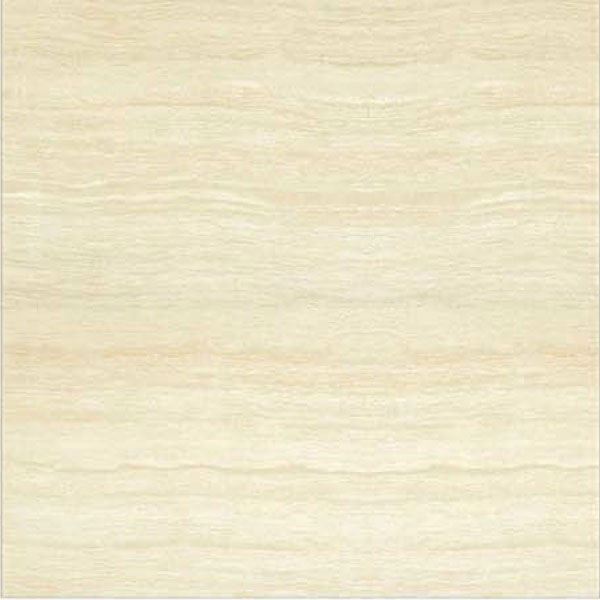 Gạch ốp lát Taicera TKG 60×60 P67206N