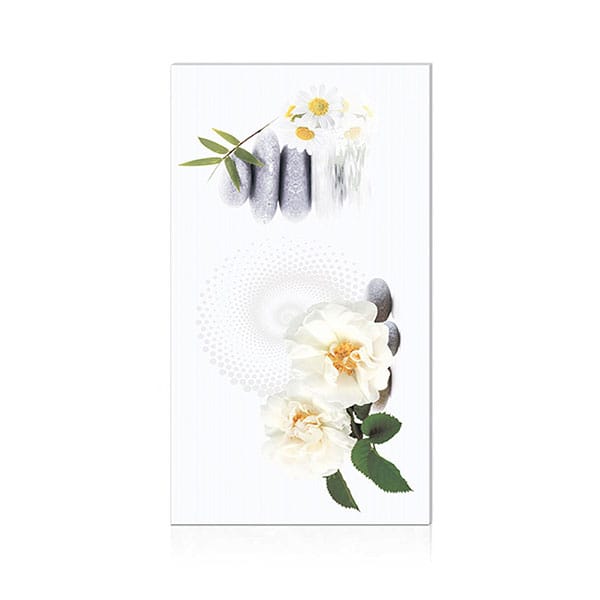 Gạch ốp trang trí 30×60 Hoàn Mỹ Perfetto 04.01.2065