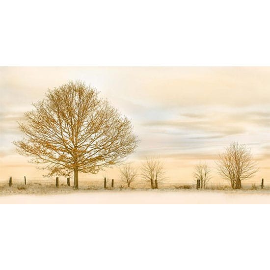 Gạch ốp tường 30×60 RoyalCeramic KTS-362254-SE