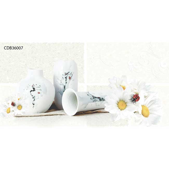 Gạch ốp tường 30×60 TTC Ceramic CDB36007