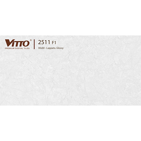 Gạch ốp tường 30×60 Vitto 2511 F1