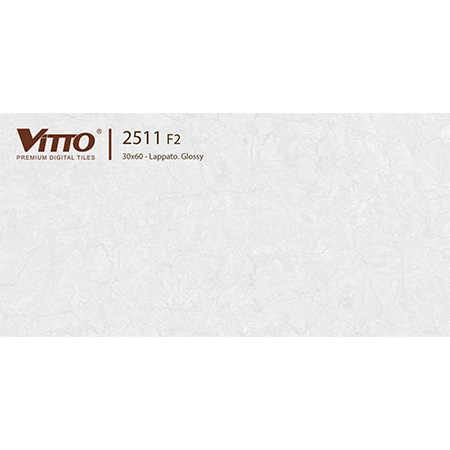 Gạch ốp tường 30×60 Vitto 2511 F2