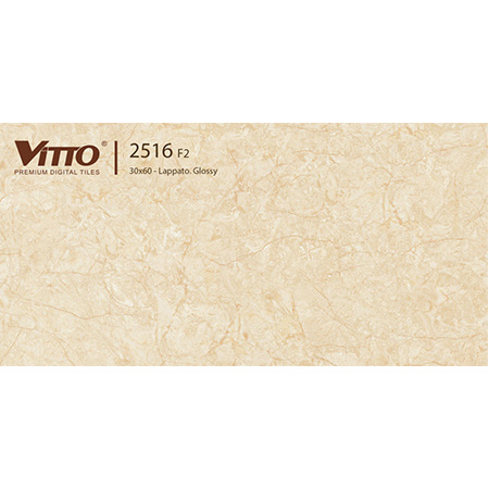 Gạch ốp tường 30×60 Vitto 2516 F2