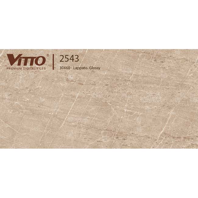 Gạch ốp tường 30×60 Vitto 2543