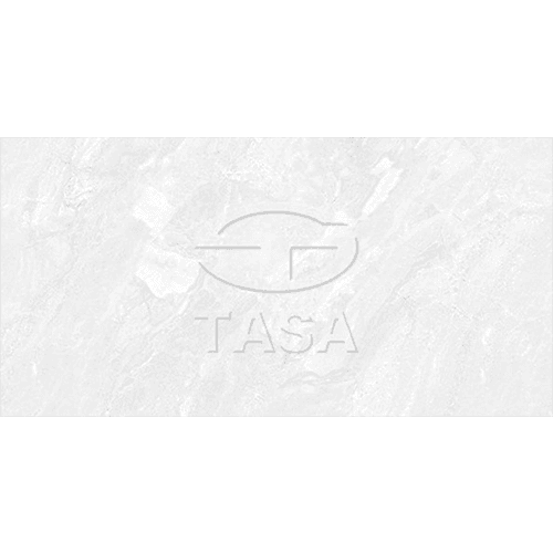 Gạch ốp tường 40×80 TASA 4901