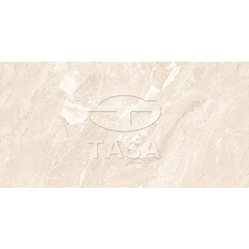 Gạch ốp tường 40×80 TASA 4904