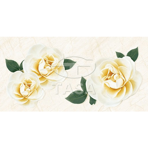 Gạch ốp tường 40×80 TASA 4908