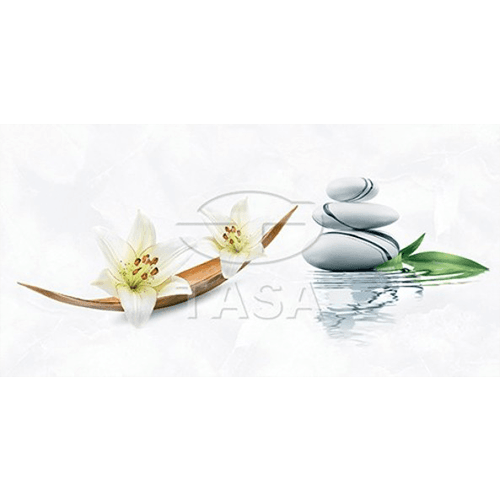 Gạch ốp tường 40×80 TASA 4910